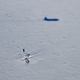 Illustration for article titled NASA Spots Wreckage Of Cold-War Era B-29 On Greenland Icesheet